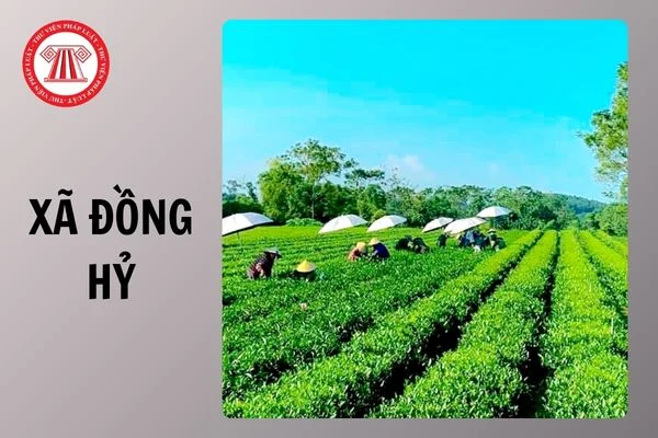 Thuê Xe Taxi Nội Bài Giá rẻ đi Đồng Hỷ Thái Nguyên